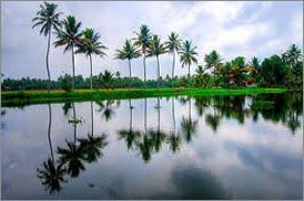 Kumarakom Sightseing