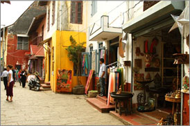 Kumarakom Sightseing