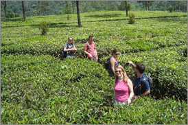 Kumarakom Sightseing