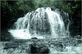 Kumarakom Sightseing
