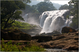 Kumarakom Sightseing