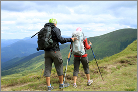 Kumarakom Sightseing