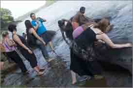 Kumarakom Sightseing