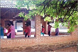 Kumarakom Sightseing