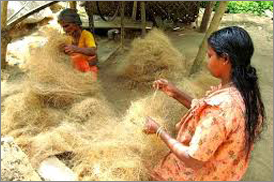 Kumarakom Sightseing