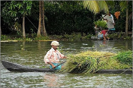 Kumarakom Sightseing