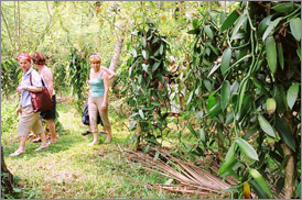 Kumarakom Sightseing
