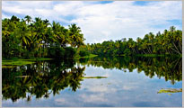 Kumarakom Sightseing