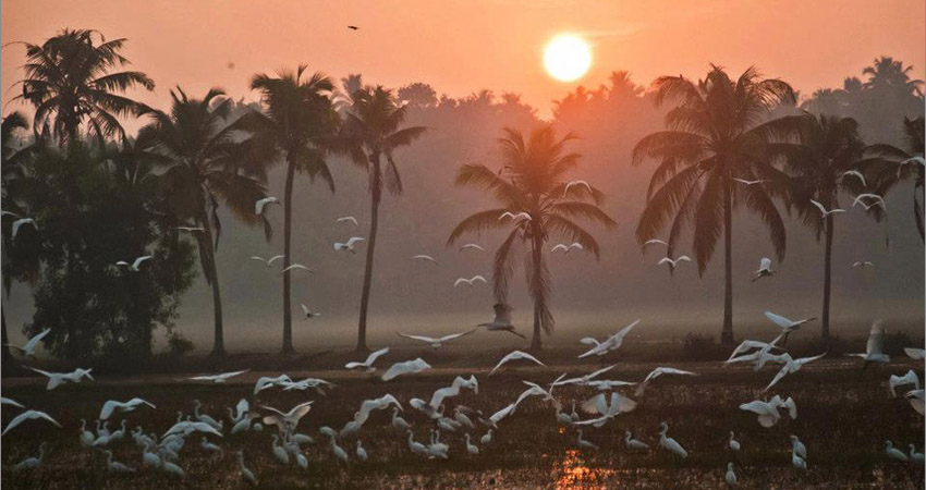 Kumarakom Sightseing
