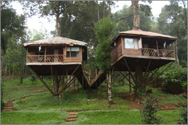 Kumarakom Sightseing