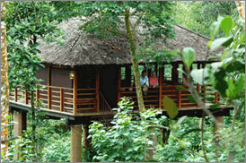 Kumarakom Sightseing