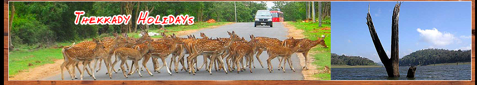 Thekkady Holidays