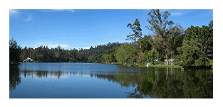 Kodaikanal lake